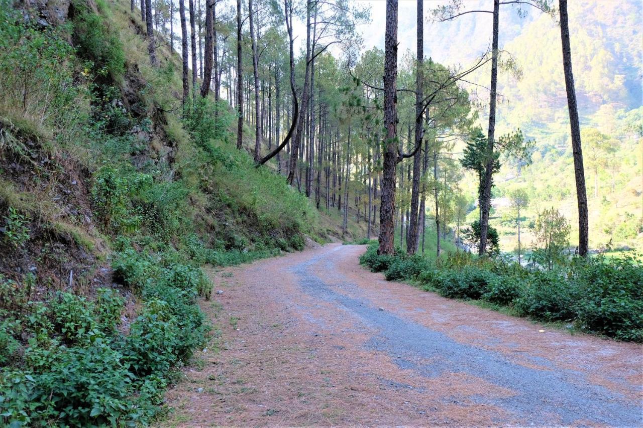 Vista Cottage Solan Bagian luar foto