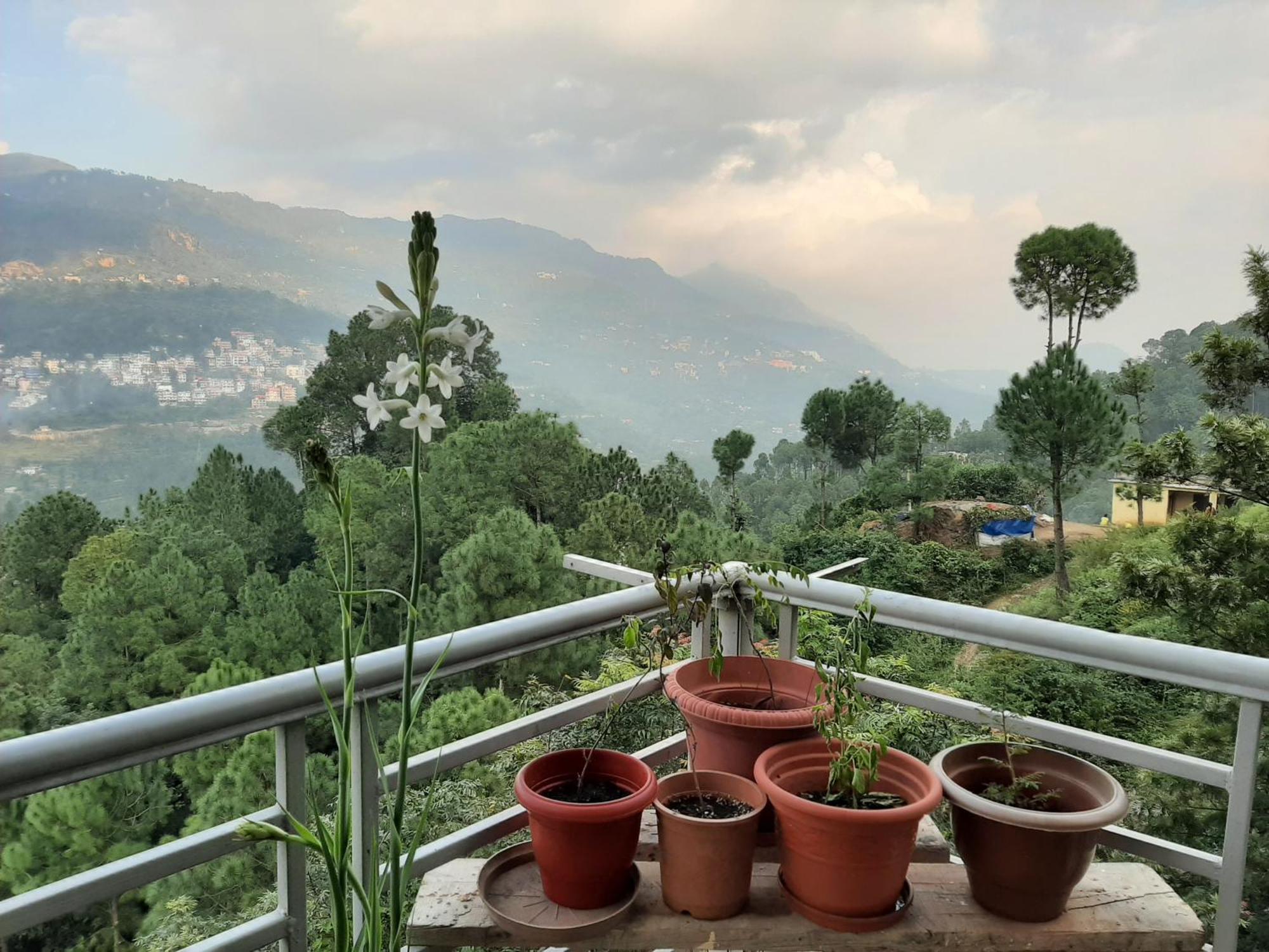 Vista Cottage Solan Bagian luar foto